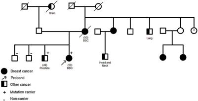 Uncovering the clinical relevance of unclassified variants in DNA repair genes: a focus on BRCA negative Tunisian cancer families